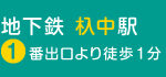 アクセス_いりなか